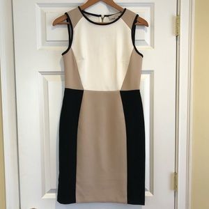 Ann Taylor Loft Dress